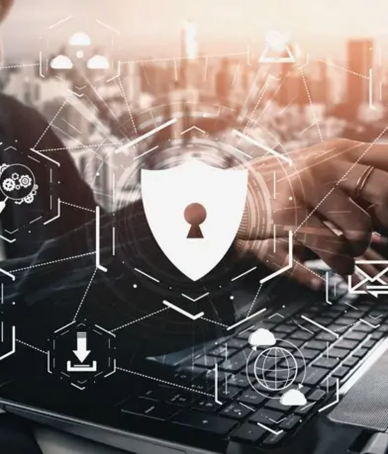 Des Plaines IT services